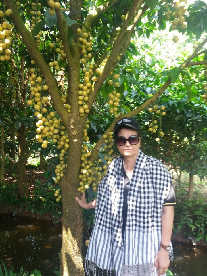 Du lịch miền Tây